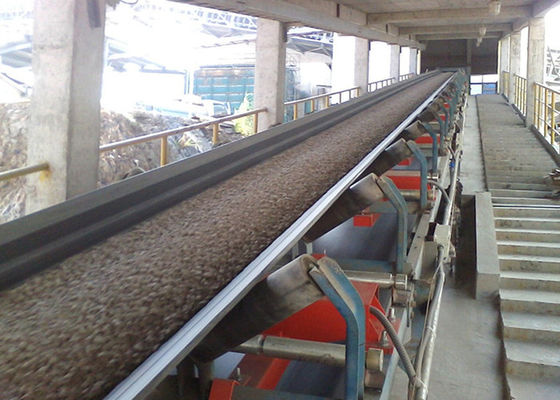 塩企業の食品等級220VAC 600mmのコンベヤー ベルトの計重機